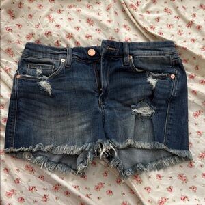 BLANK NYC “the Essex” cut off shorts